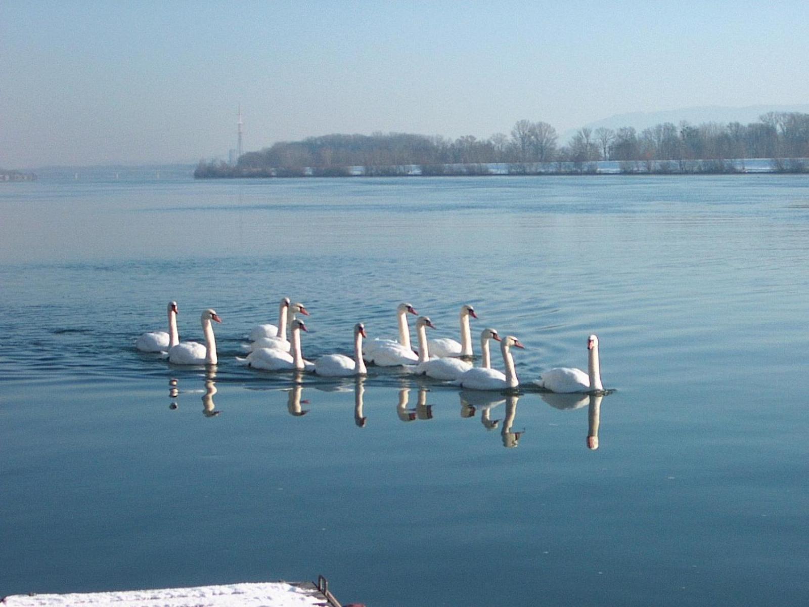 Donau-Rad-Hotel Wachauerhof 말바흐암데르도나우 외부 사진